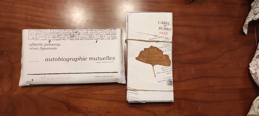 Alberto Pimenta (vária)