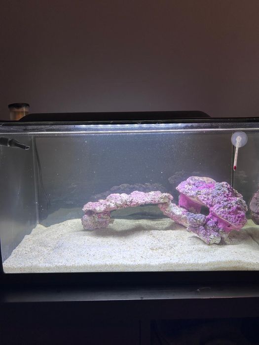 Aquário marinho TMC The First Wave 48L completo + areia + oferta