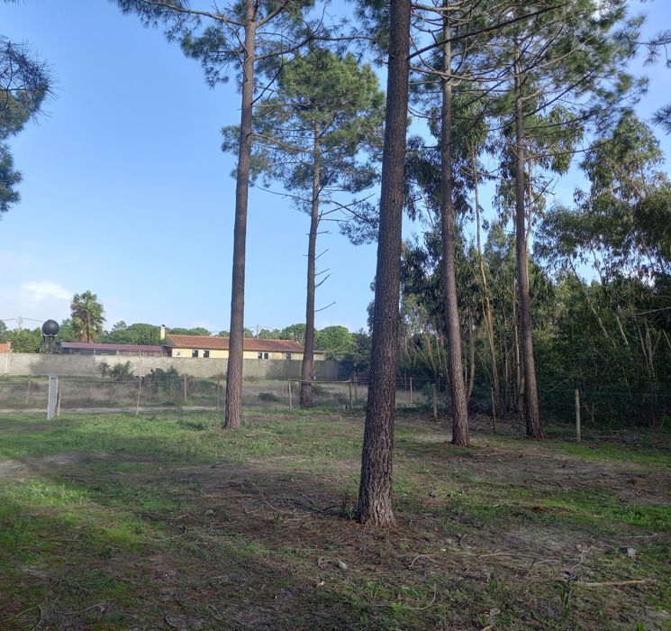 Lote Terreno Legalizado Praia de Melides.