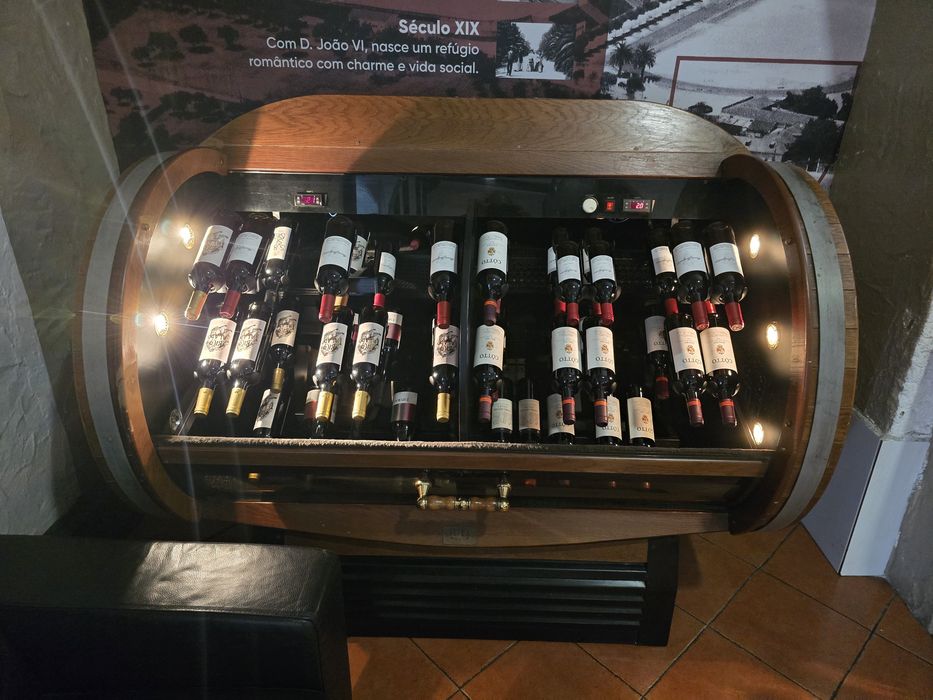 Armario refrigeração para vinhos