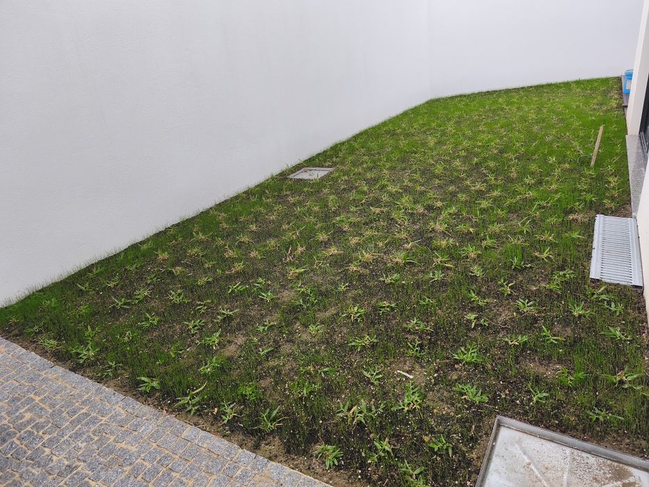 Serviços jardinagem