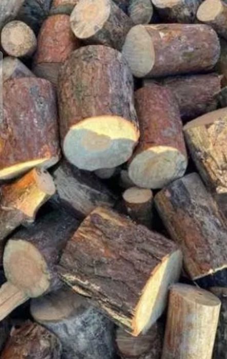 Sprzedam drewno opalowe i kominkowe