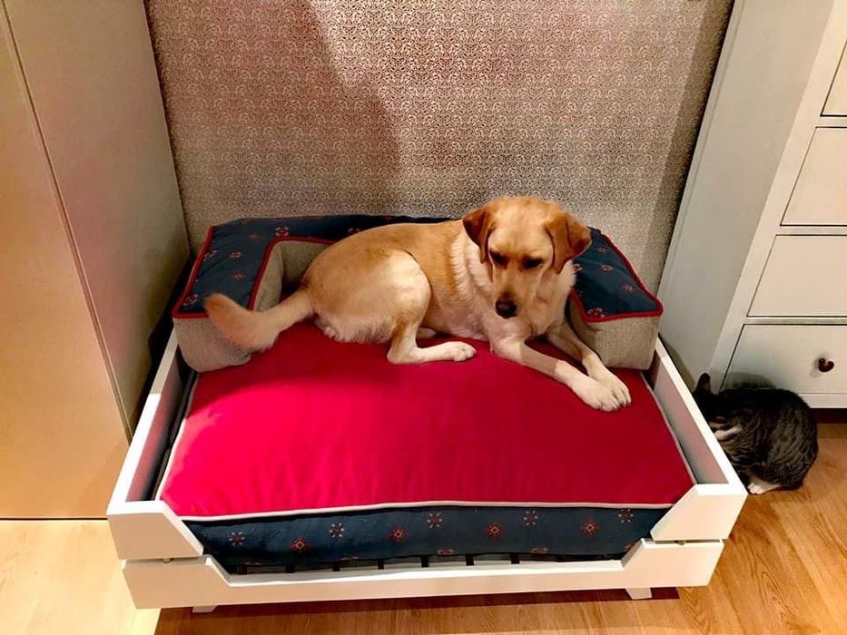 Cama com almofama para cães