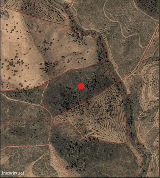 Terreno Rústico com 3,8 Hectares – Santana da Serra