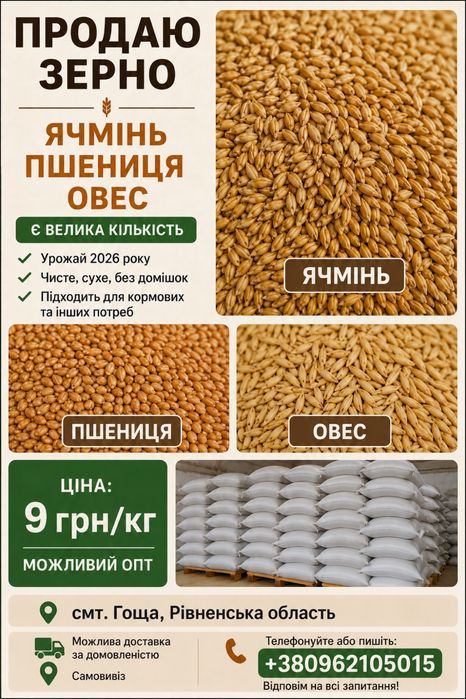Продам пшеницю, ячмінь, овес