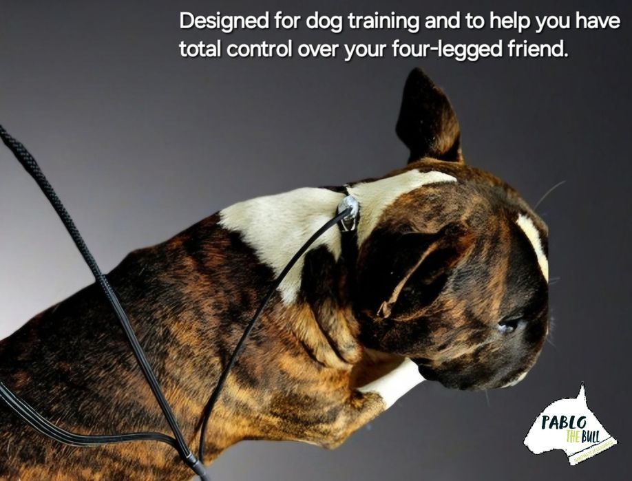 Coleira trela anti puxão slip lead cão