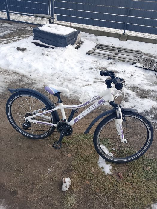 Rower Unibike-koła 24