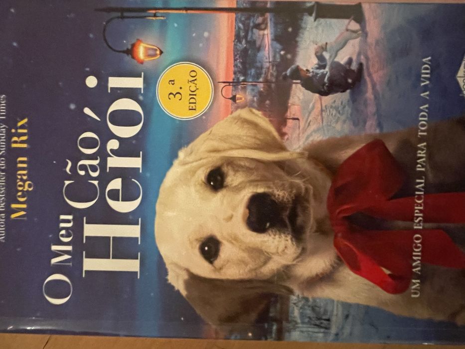 Livros em 2 mao como novos