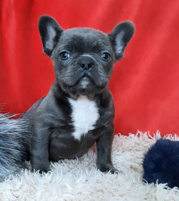 Красивая девчушка