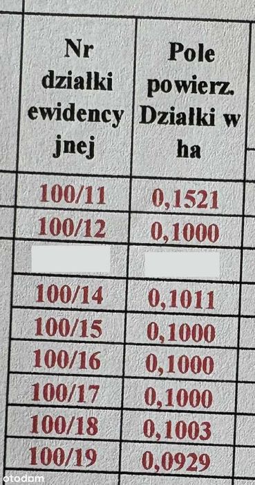 Działki budowlane - Żychlin, przy drodze wojewódzkiej nr 573 - Widok 2