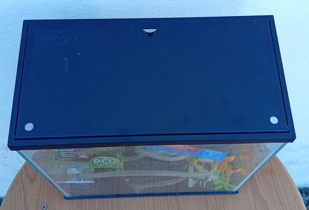 Aquário novo + acessórios