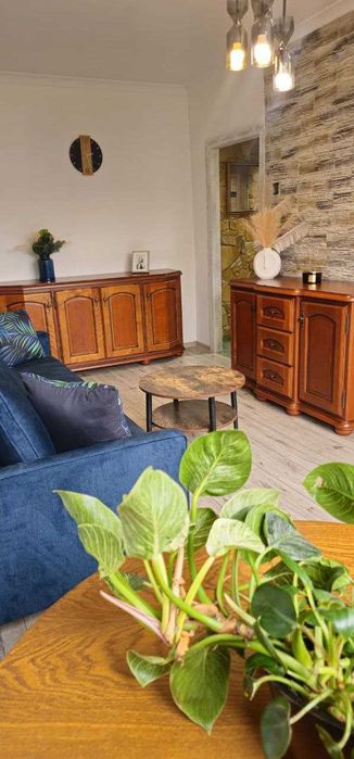 Mieszkanie 2 pokojowe na wynajem - Tychy - Moniuszki