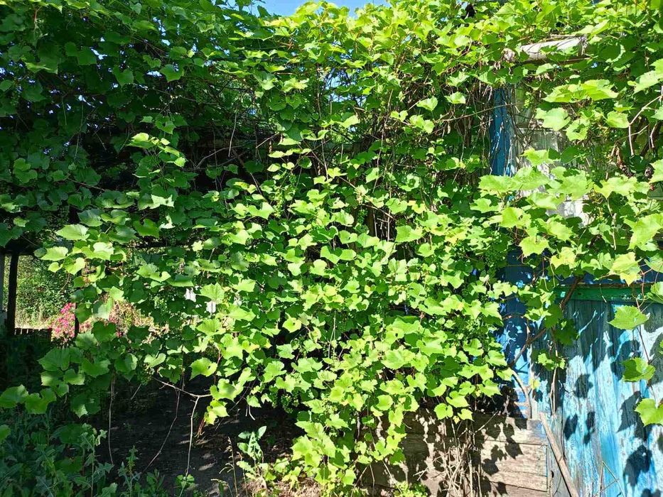 Продається будинок