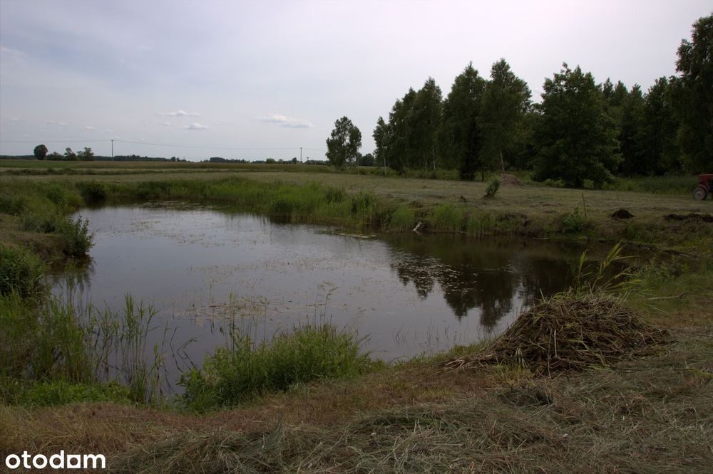 Zdjęcie 2