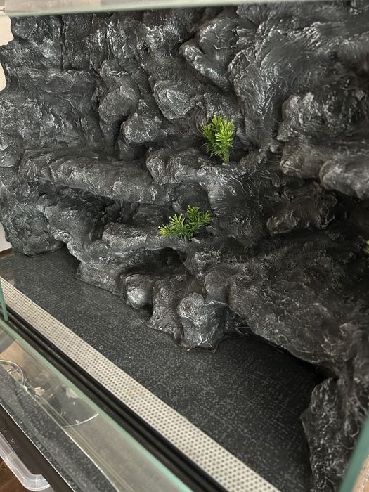 Terrarium 80x50x40