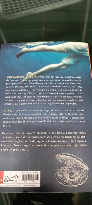 Livro a herança perdida