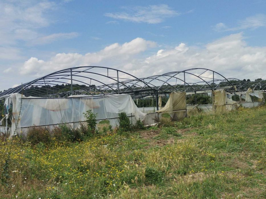 Estufas Agrícolas