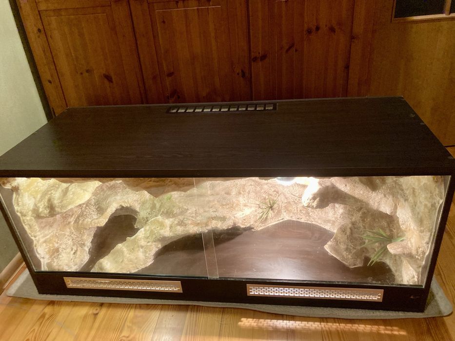 Terrarium dla gada