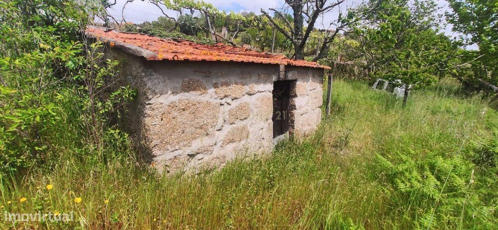 Plot of land with a small house and views of the Douro River in S. Tomé de Covelas, B