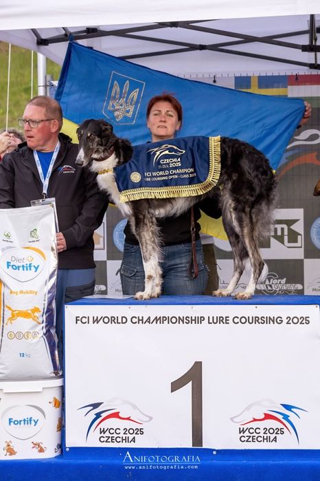 Щенки псової борзої