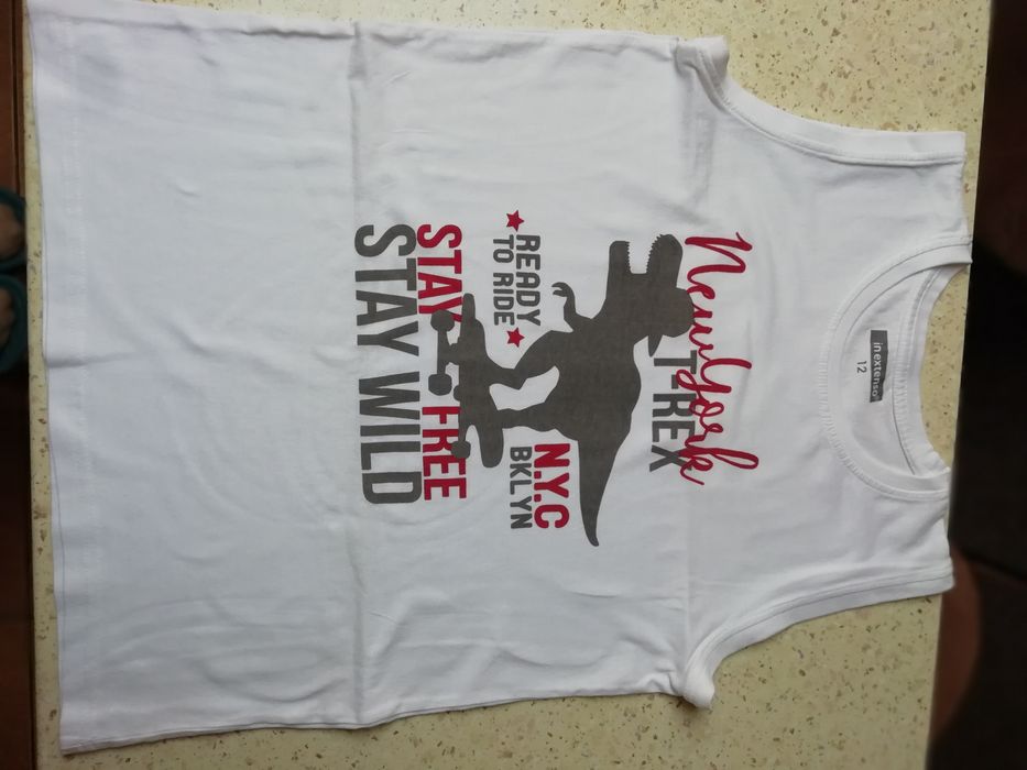 Koszulka chłopięca in extenso rozmiar 146