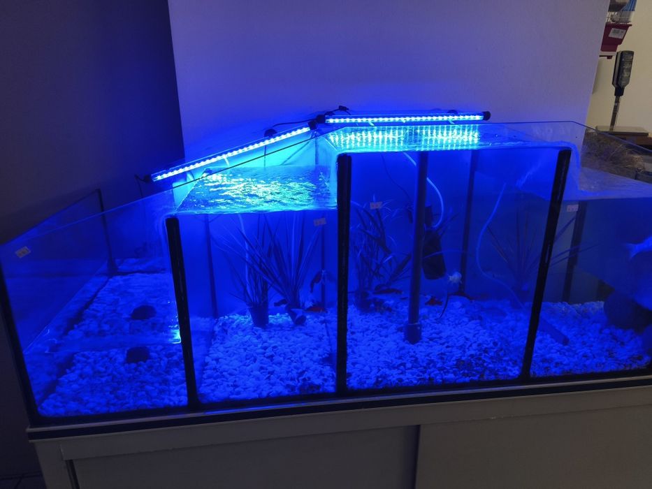 Aquário cascata excelente