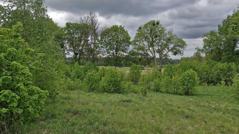 Działka 3026 m² Pupki – blisko lasu