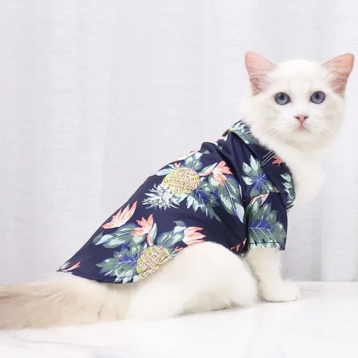 Летние платья,  рубашки, шляпы, панамы для котов, собак, сфинксов