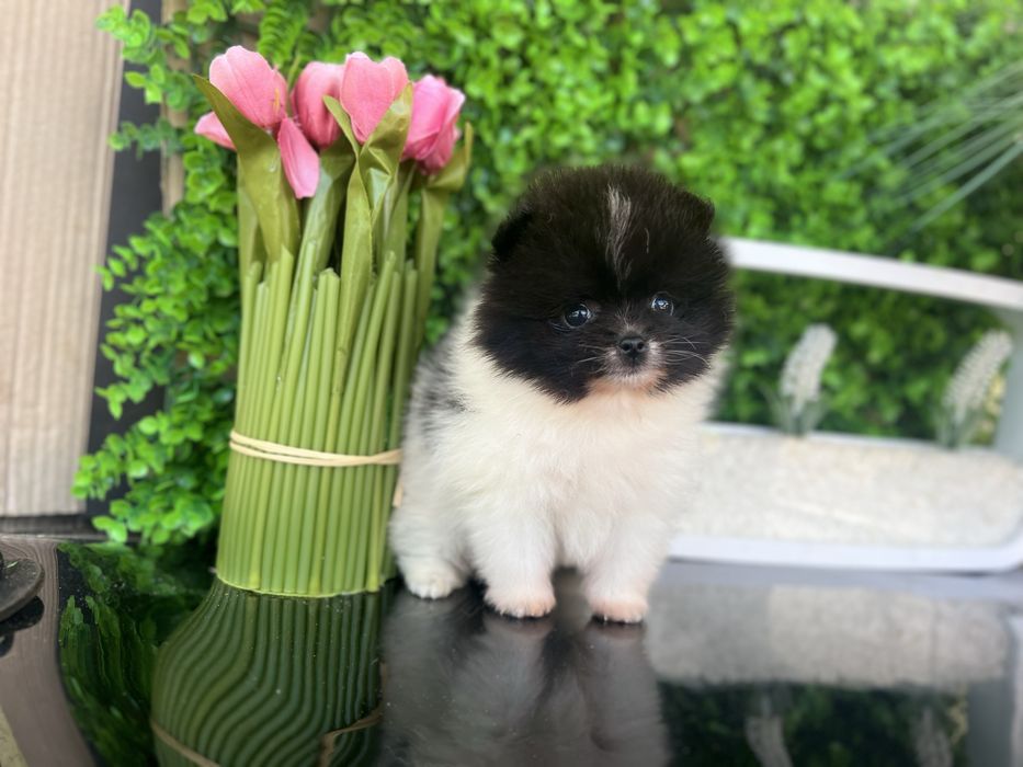 Хлопчик Супер міні