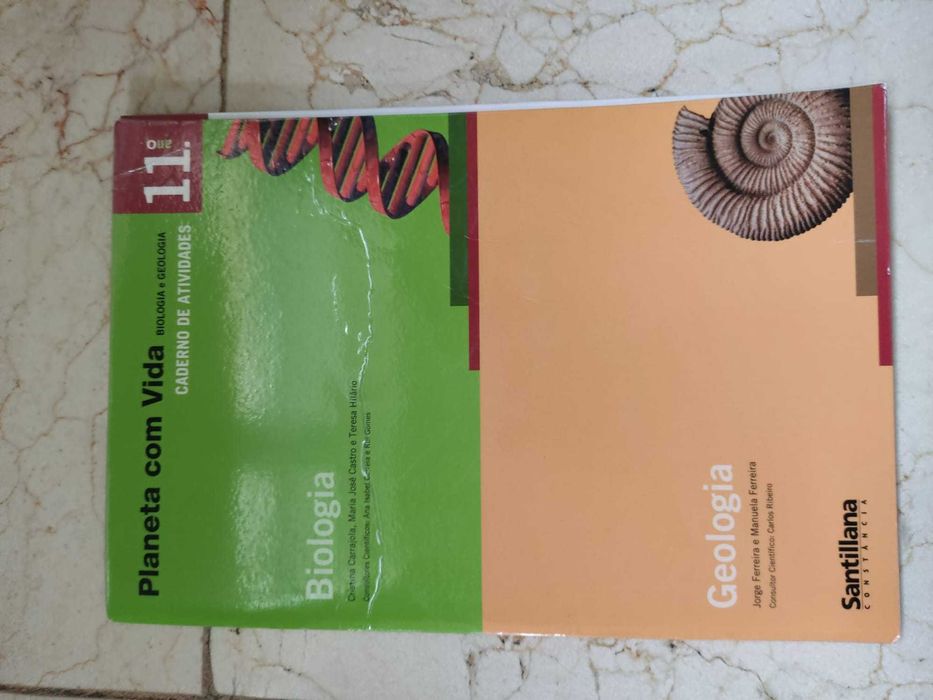 Manuais Escolares 11ºano