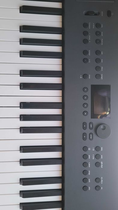 Roland GO:KEYS 5 Teclado Musical Cor Grafite + Mala Roland CB-B76 + Suporte de Partituras + Pedal