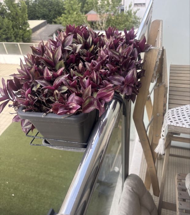 Plantas / vasos/ floreira/ suporte