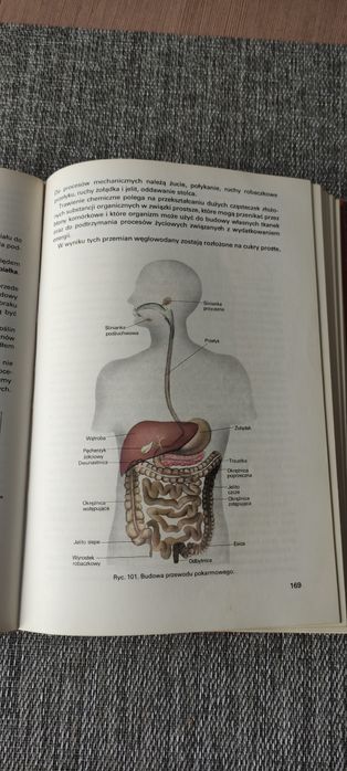Anatomia i fizjologia człowieka