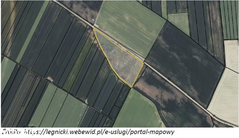 Syndyk sprzeda niezabudowany grunt