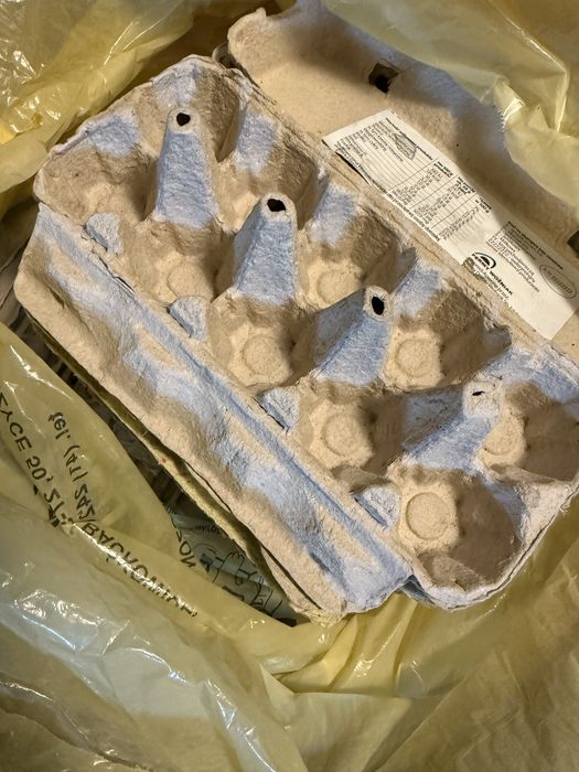 Wytłaczanki po jajkach 50sztuk