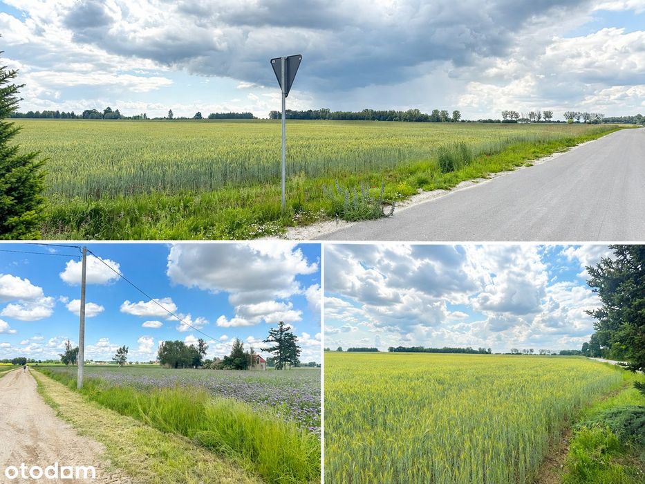 Działki z WZ | 3000–18000 m² | Radzymin k. Płońska