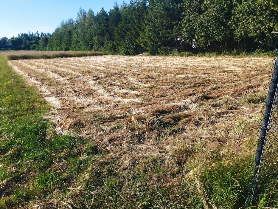 Działka budowlana Nasutów aleja lipowa - Widok 6