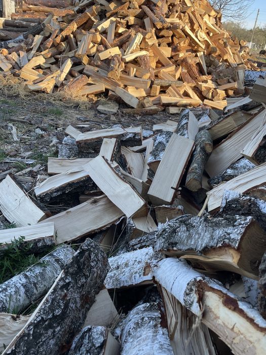 Продам дрова різних порід