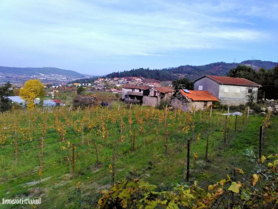 Quinta com 3 hectares