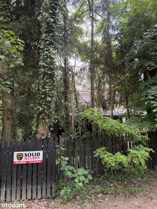 Domek letniskowy 100 metrów od jeziora w otoczeniu lasu. Mazury - Widok 3