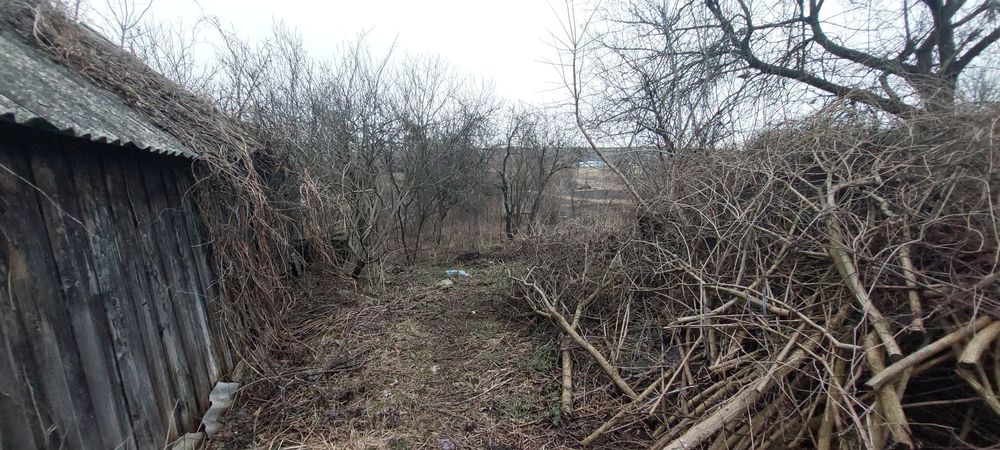 Продам дом в Солоницевском Отг (п.Ольшаны)