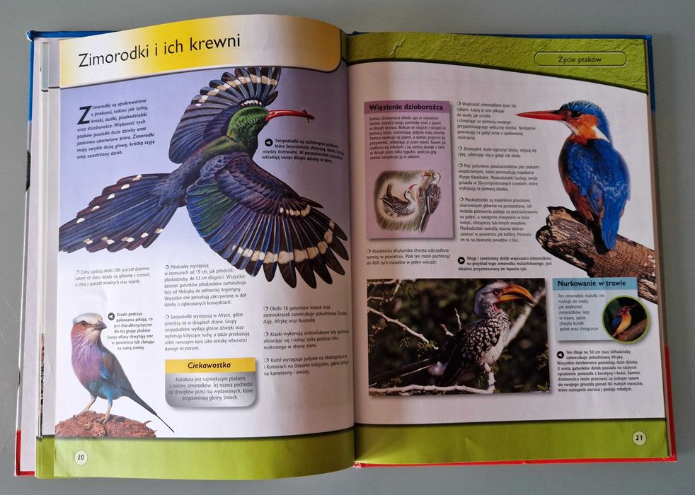 Życie na ziemi. Życie ptaków (wyd. SBM, red. Elżbieta Wójcik)