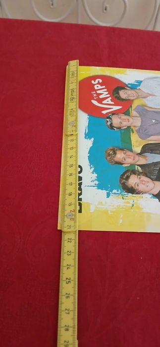 Poster The Vamps, novo