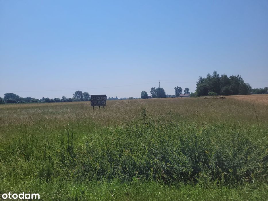 Działka rolna 2300 m² w spokojnej okolicy