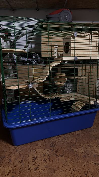 Клітка для гризунів: шиншили,  білки, морської свинки