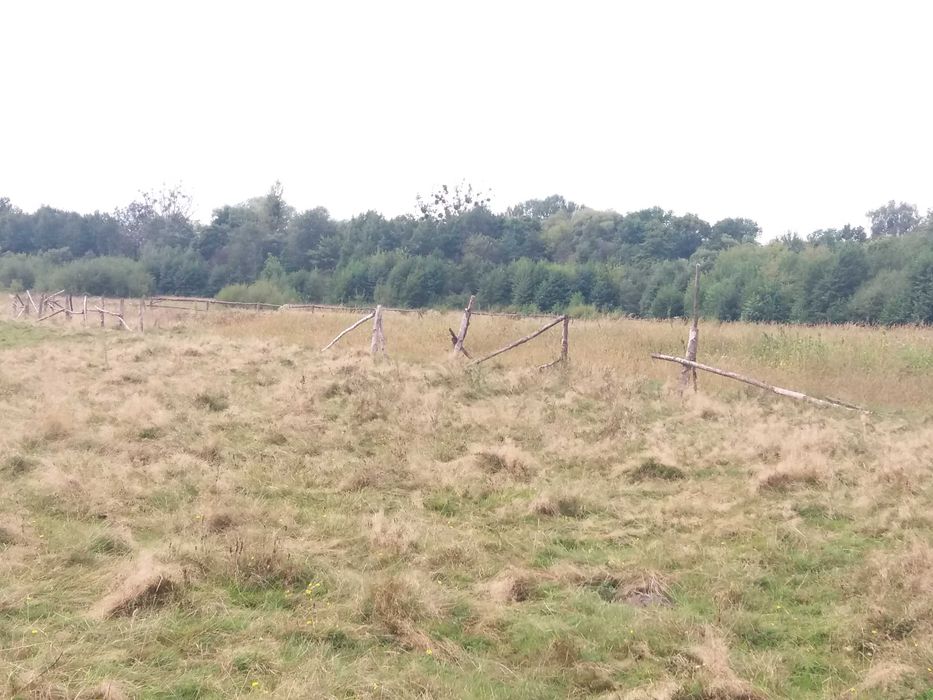 Продажа ділянки біля лісу під забудову