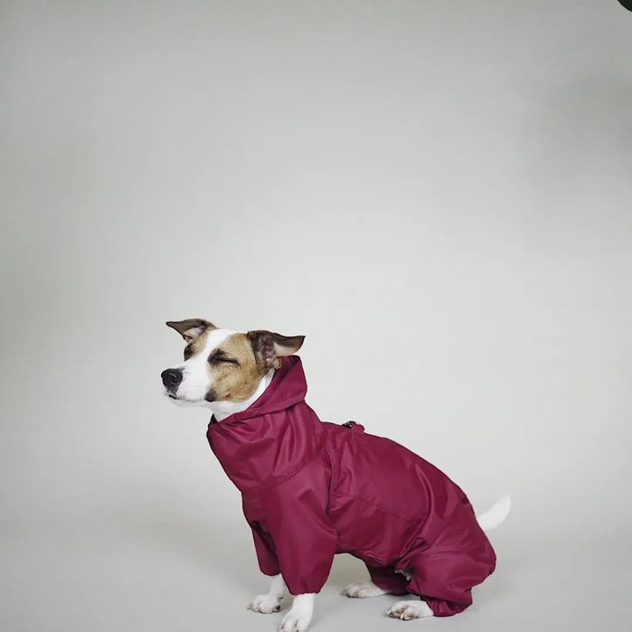 Одяг для тварин. Дощовики, жилети, худі, комбінезони. Інд. пошив