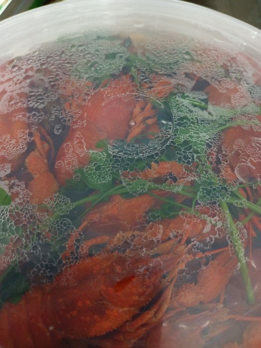 Продам живі раки