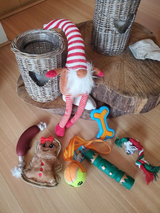 zabawki nieużywane dla psa