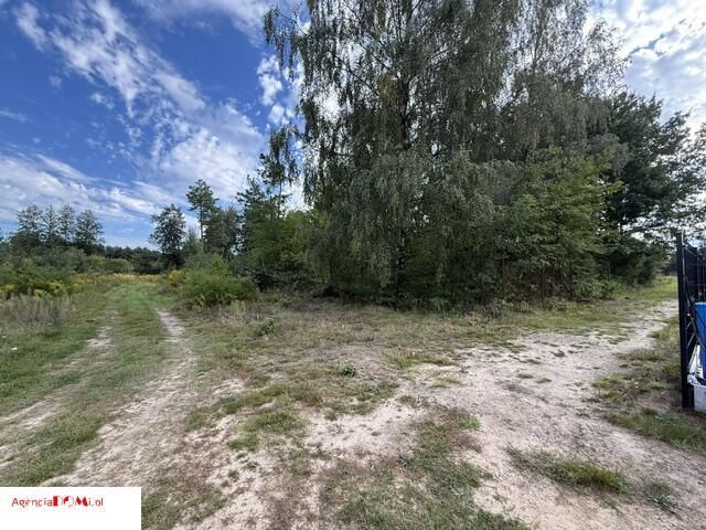 Działka, Zboiska - Widok 3
